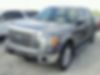 1FTFW1CT8DKG05463-2013-ford-f150-1
