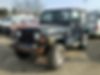 1J4FA59S6YP721607-2000-jeep-wrangler-1