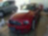 1ZVBP8AM3E5254376-2014-ford-mustang-1