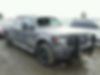 1FTFW1ET1BKE10119-2011-ford-f150-0