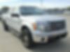 1FTFW1ET5DKG25666-2013-ford-f150-0