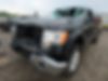 1FTFW1CT7BFB23153-2011-ford-f150-1