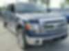 1FTFW1ET5DKG52379-2013-ford-f150-0