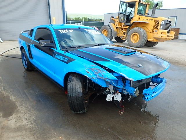 1ZVHT82H665115531-2006-ford-mustang-0