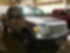 1FTEW1E81AFB20977-2010-ford-f150-0