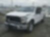 1FTEW1E84FFB75916-2015-ford-f150-1
