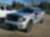1FTFW1CT7DFB27464-2013-ford-f150-1