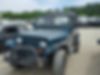 1J4FY19P2SP319106-1995-jeep-wrangler-1