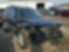 1J4PR4GK8AC117192-2010-jeep-cherokee