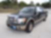 1FTFW1ET1CKD41384-2012-ford-f150-1