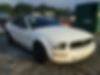 1ZVFT84N775321789-2007-ford-mustang-0