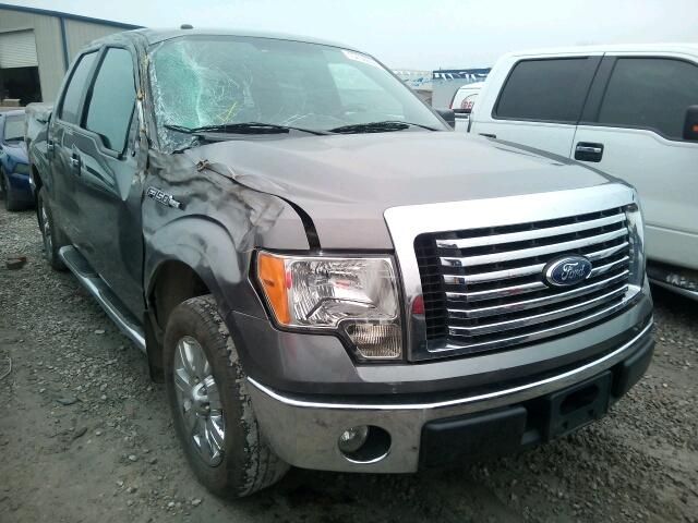 1FTEW1C8XAFD38239-2010-ford-f150-0