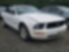 1ZVHT84N395112481-2009-ford-mustang-0