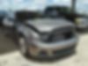 1ZVBP8AMXD5254003-2013-ford-mustang