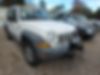 1J4GL48K95W678599-2005-jeep-liberty