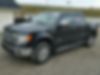 1FTFW1ET4DKG43446-2013-ford-f150-1