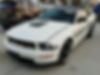 1ZVFT85H875231303-2007-ford-mustang-1
