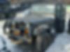 1J4FY19P8SP229202-1995-jeep-wrangler-1