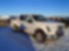 1FTEW1EP8HFA03690-2017-ford-f150-0