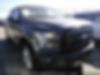 1FTEW1CP2GKF16586-2016-ford-f150-0