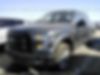 1FTEW1CP2GKF16586-2016-ford-f150-1