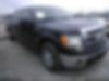 1FTEW1CM4DKG23981-2013-ford-f150-0