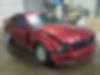 1ZVFT80N775233329-2007-ford-mustang-0