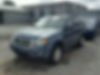 1FMCU0D76BKB66714-2011-ford-escape-xlt-1