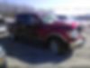 1FTFW1ET1BFD24995-2011-ford-f150-0