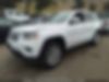1C4RJEAG8FC952250-2015-jeep-grand-cherokee-1