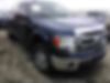 1FTFW1CF7DFB74939-2013-ford-f150-0