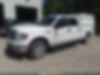1FTFW1ET8DKD31274-2013-ford-f150-1