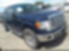 1FTFW1CT5BFC12879-2011-ford-f150-0