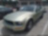 1ZVFT84N165201968-2006-ford-mustang-1