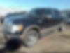 1FTFW1ET7BKD84867-2011-ford-f-150-1