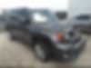 ZACNJABB4LPL20358-2020-jeep-renegade