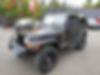 1J4FA59S8YP701147-2000-jeep-wrangler-0