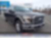 1FTEW1EP7GFB96025-2016-ford-f-150-0