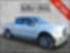 1FTEW1EP3HFC85608-2017-ford-f-150-0