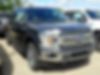 1FTEW1EPXLFC40786-2020-ford-f-150-0