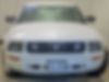 1ZVHT80N385156582-2008-ford-mustang