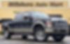 1FTSW2BR8AEA67139-2010-ford-f-250-0