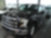 1FTEW1EP1GFA29787-2016-ford-f-150-0