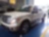 1FTFW1ET8DKD40671-2013-ford-f-150-0