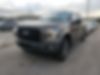 1FTEW1CP1GFD34029-2016-ford-f-150-0