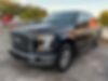 1FTEW1CP7FKE20189-2015-ford-f-150-1