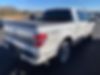 1FTFW1ET7DFB20172-2013-ford-f-150-1