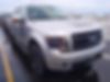 1FTFW1ET7DFB62471-2013-ford-f-150-1