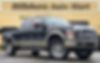 1FTSW2BR8AEA67139-2010-ford-f-250-0