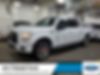 1FTEW1EP7GFC53310-2016-ford-f-150-0